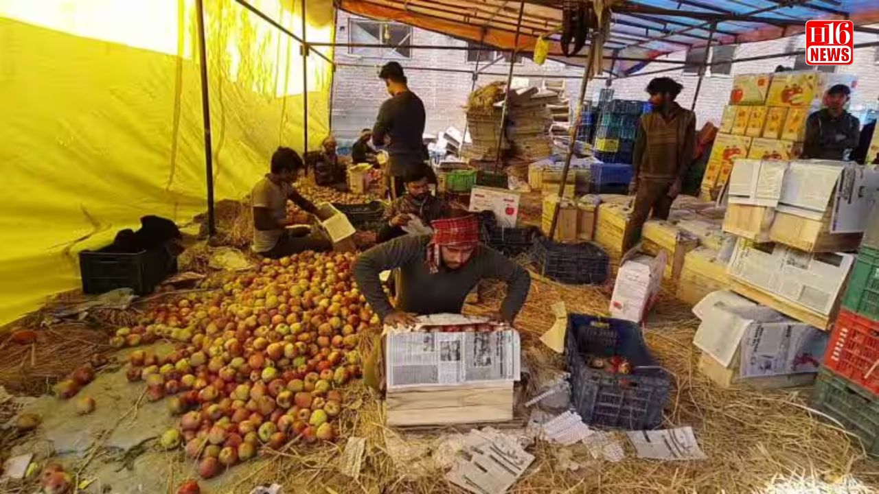 India’s largest fruits & vegetables market, suspends importing apples from Turkey